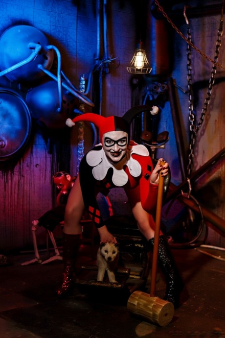 Harley Quinn gwiazda erotyki zdjęcia